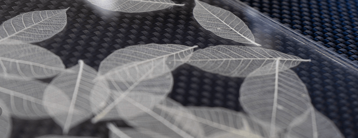 2枚のアクリル板で挟んだスケルトンリーフ