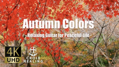 ｢懐かしい気持ち｣が生み出すメリットとは！美しい紅葉動画と音楽でリフレッシュタイム。ストレス解消方法は4K動画で！