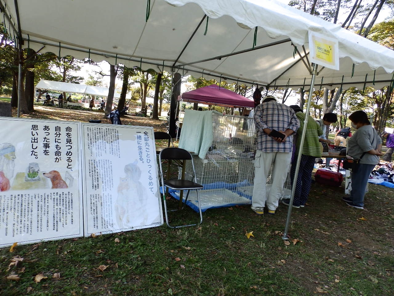 葛飾動物愛護の会ブース(昨年度の様子)