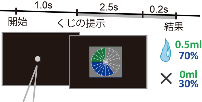 図1.ギャンブル課題