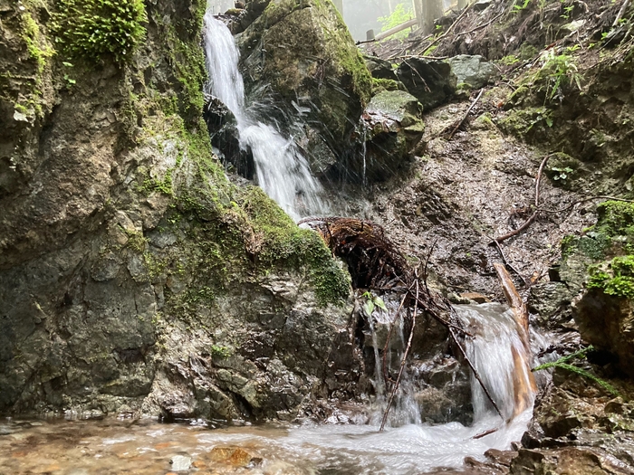 #The outdoor rice 水源(3)