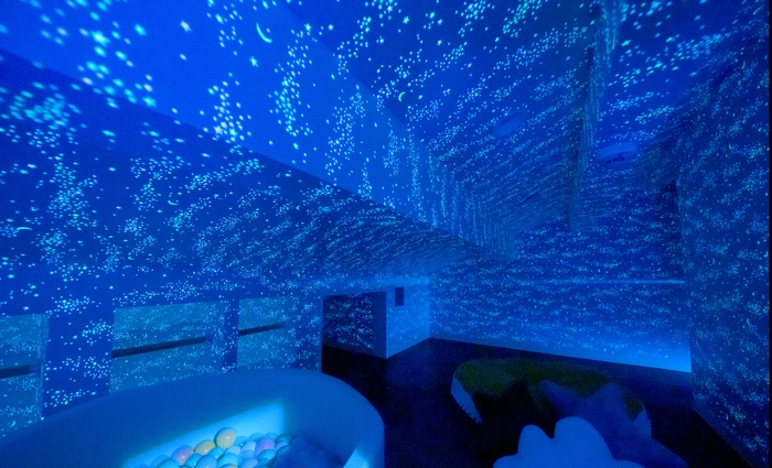 ホーリーハウスの屋根裏部屋