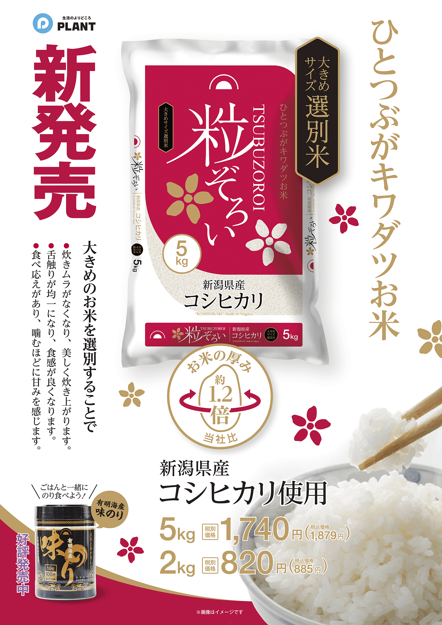 新潟県産コシヒカリ 粒ぞろい