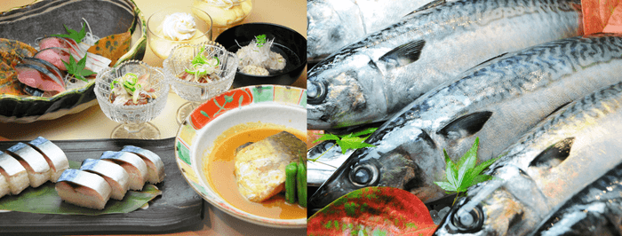 全店共通メニュー 極上さば料理コース ¥3,800(税込)