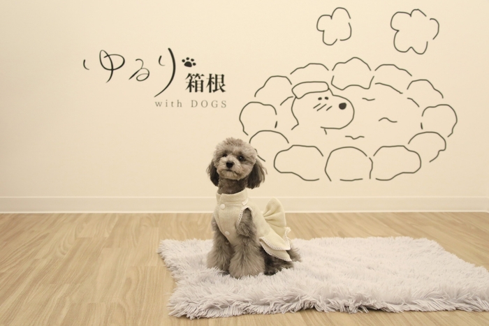 フォトスタジオ