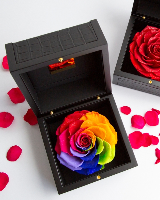 Diamod Rose/ダイヤモンドローズレザーBOX