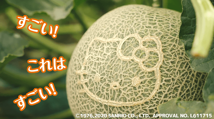 キティちゃんメロンも登場!