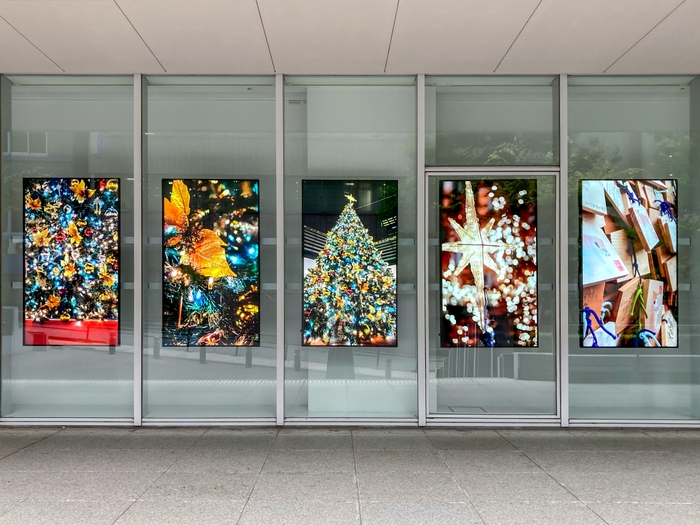 展示例:御茶ノ水ソラシティのクリスマス(昼)