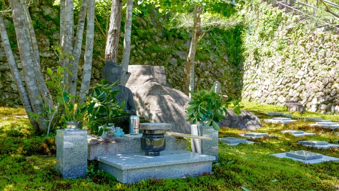 樹木葬型の合祀墓