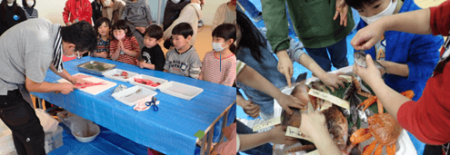 魚介類の体験活動プログラム「どこでも魚市場」の様子