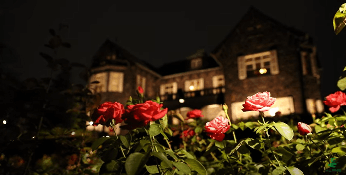 洋館ライトアップをドローンで空撮