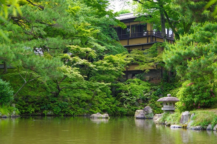 夏の緑の中に佇むeXcafe祇園八坂