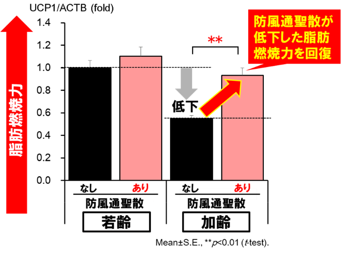 図3:脂肪燃焼力の回復