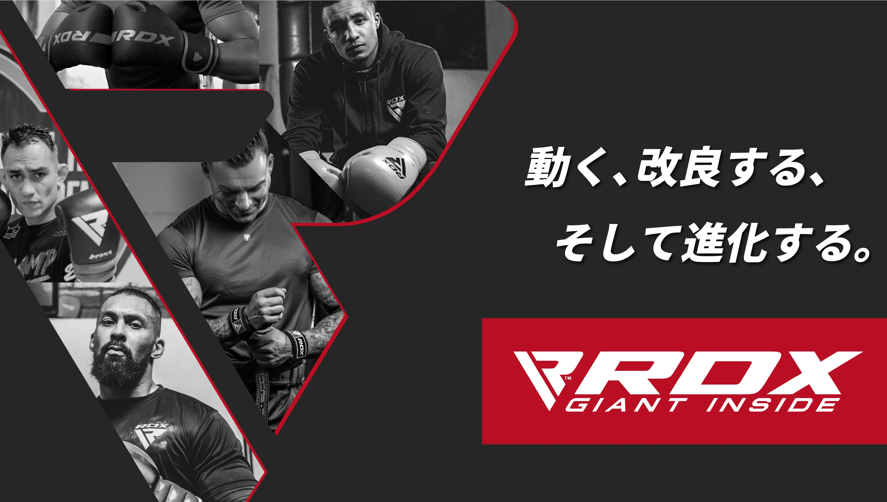 累計販売個数5,000万個を超えるボクシングMMA&フィットネス総合ブランド