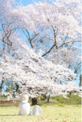 _2556g_撮影場所:砧公園