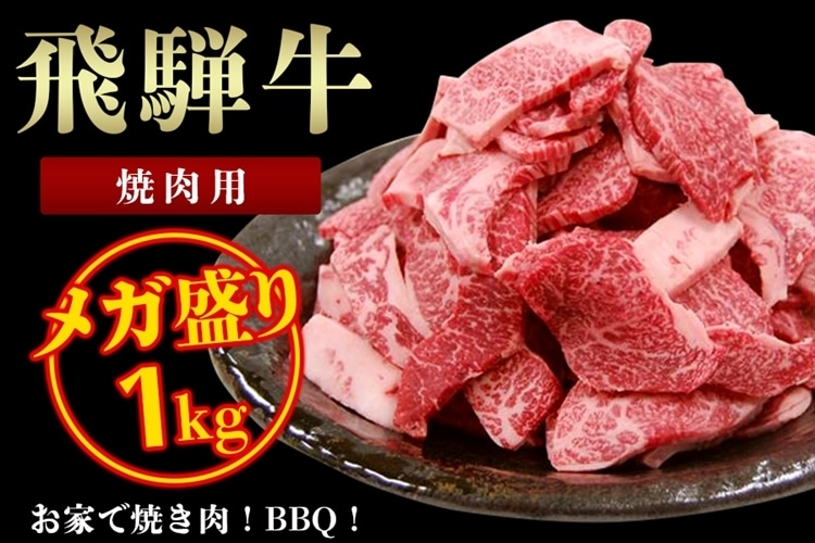 飛騨牛 メガ盛り 焼肉用