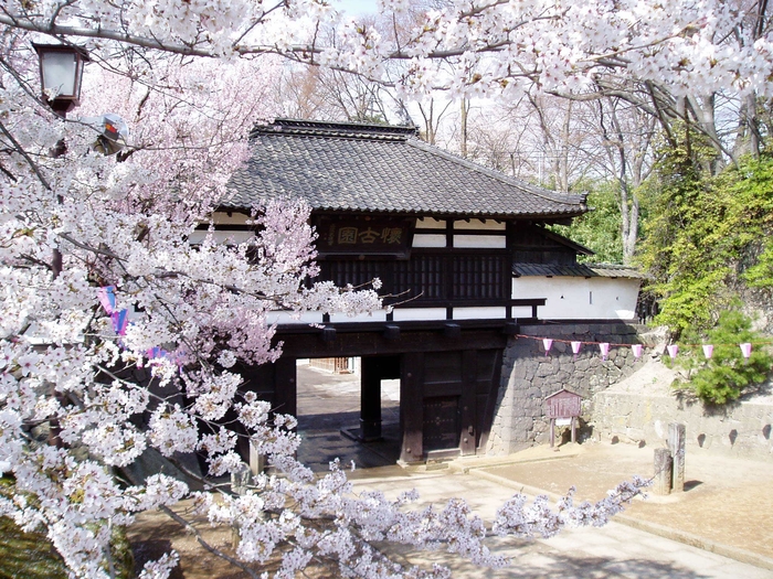 小諸城 三の門