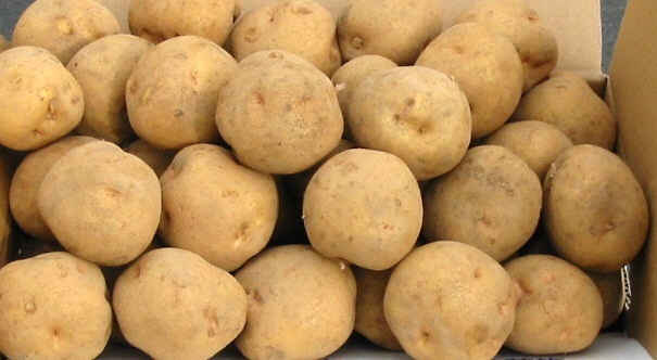 じゃがいも(きたあかり)10㌔入り1箱