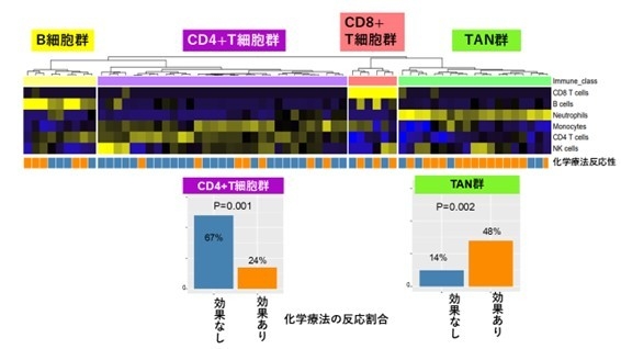 図1 胃がんの免疫分類