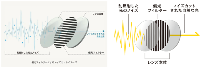 通常の偏光フィルターは水平に軸を持ちますが、垂直に軸を持たせた特殊レンズを開発しました    ※画像はイメージです。