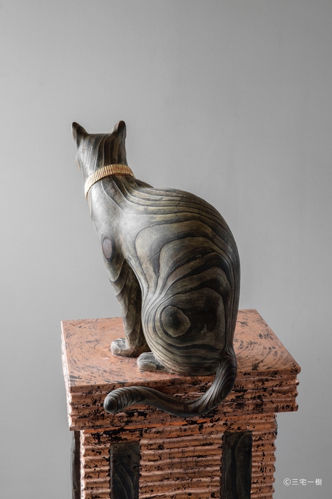 三宅一樹《聖唐櫃》猫背面