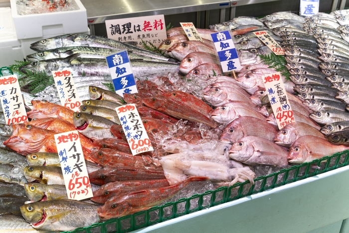 セリ権を持つ魚屋だから圧倒的鮮度