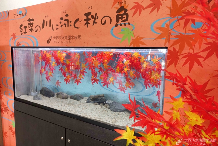 テーマ水槽