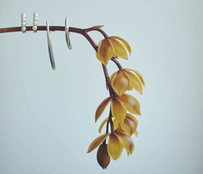 左から順に Crescent Pearl Earring ¥15,400、Sardine EarCuff ¥19,800、Trigger EarCuff ¥19,800