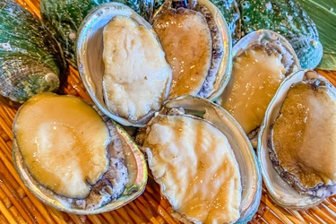 鮮度抜群の活鮑をプレゼント！！ 湘南・茅ヶ崎の海鮮BBQ食べ放題専門店“ちがさき倶楽部”が 店舗改装記念として『活鮑プレゼントキャンペーン』を開催！