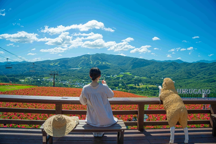Momoiroテラス&カフェからの絶景