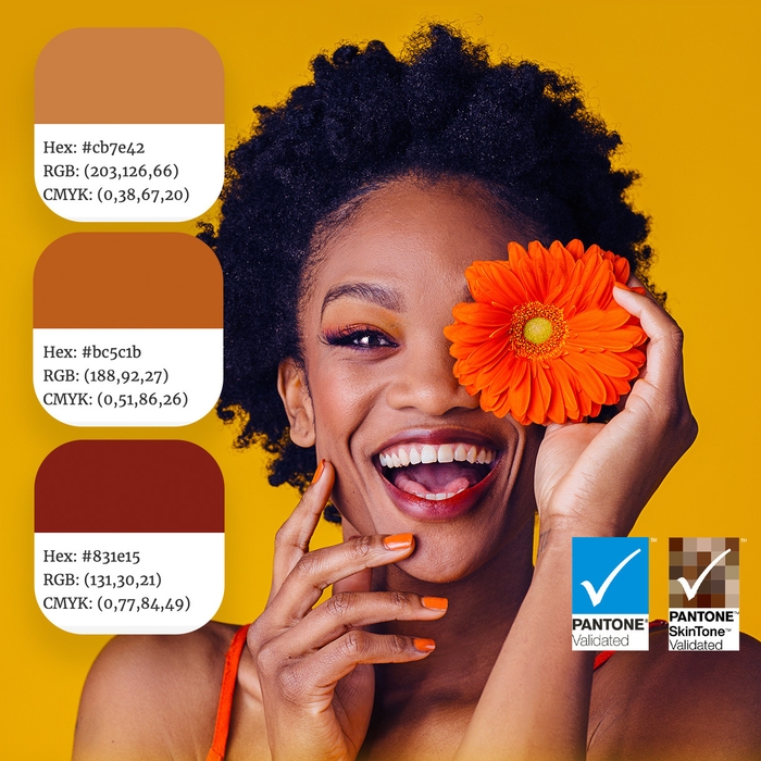 CalMAN認証/PANTONEカラー認証