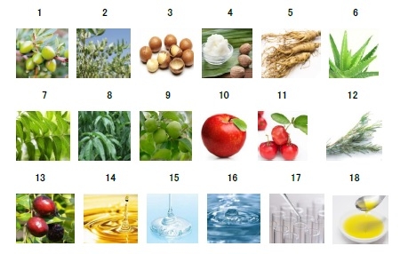 (写真はイメージ)