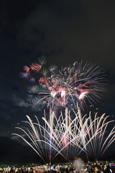 いなわしろ花火大会の様子その1