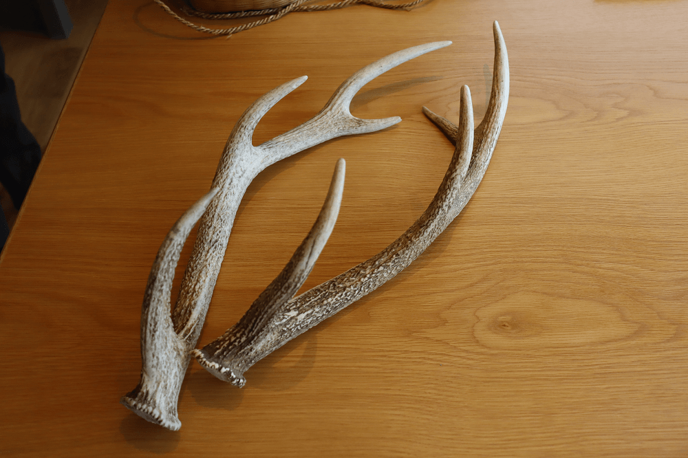 「猟師に弟子入り体験」イメージ4