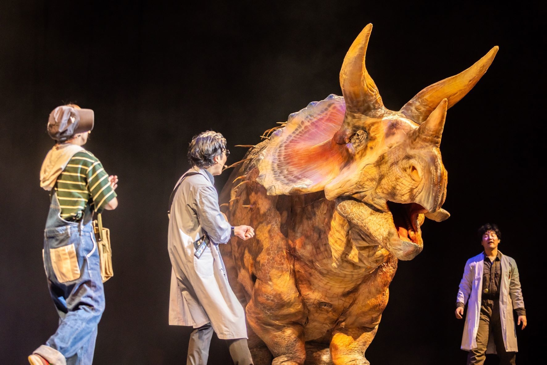 トリケラトプス