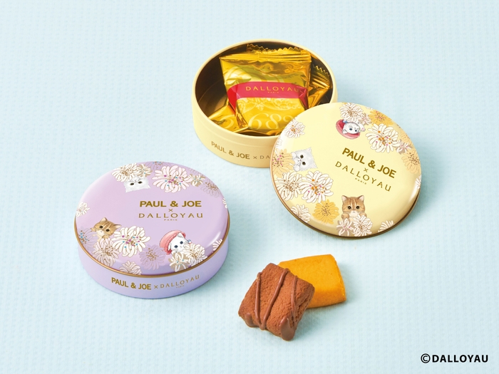 ガトー ミャオ缶