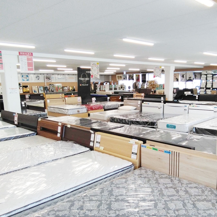 横になってお試しいただけるベッド売場
