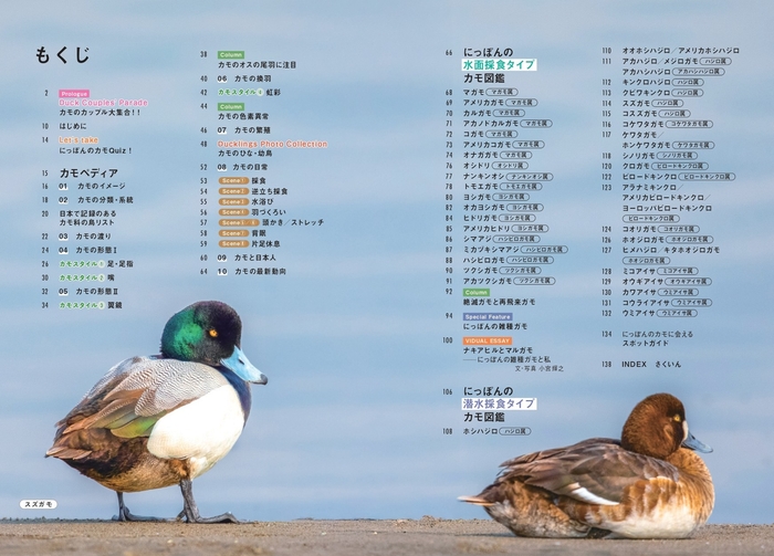 『にっぽんのカモ』もくじ