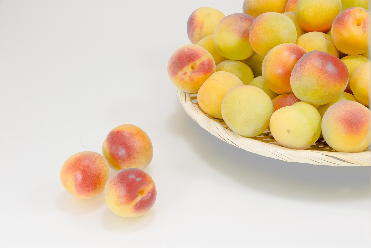 完熟紀州南高梅