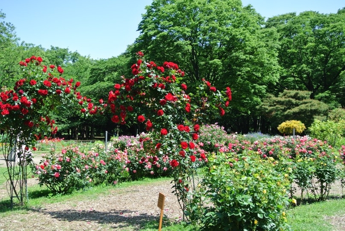 ▲フラワーランドの様子