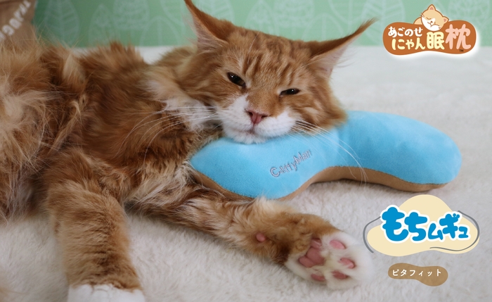 もちムギュ ピタフィット