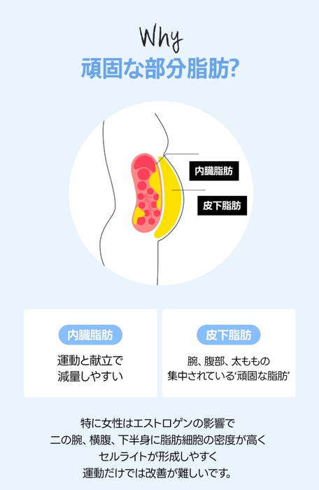 イメージ4