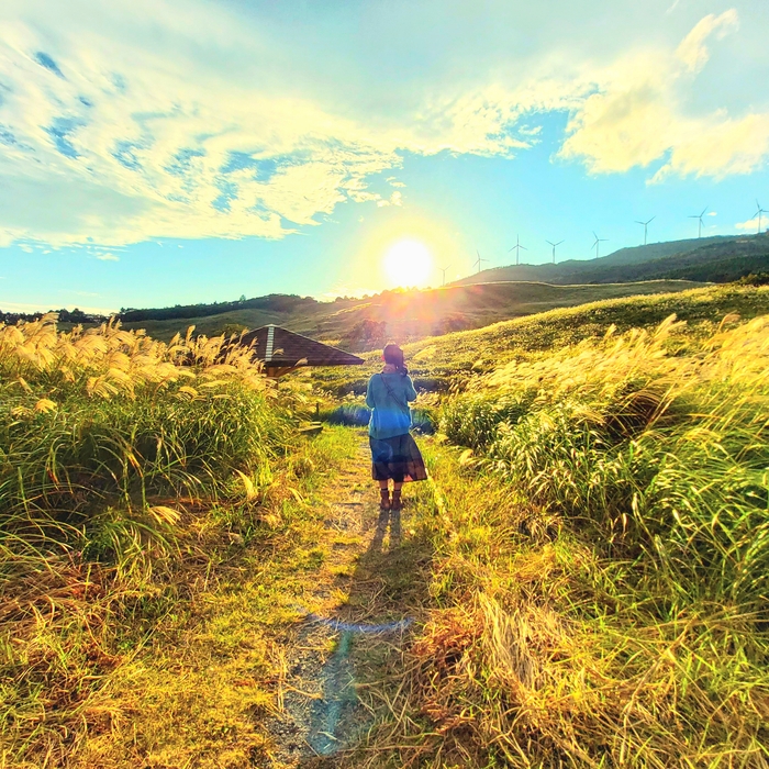 第12回東伊豆町の魅力フォトコンテスト 最優秀賞『スカーレット』