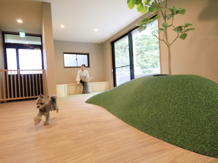 屋内ドッグラン(イベント開催場所)