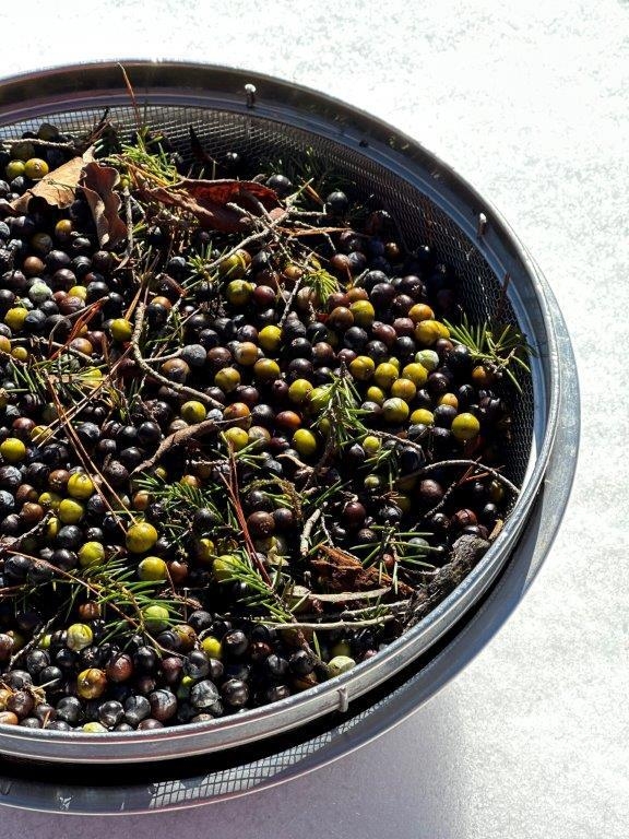 京丹後産ジュニパーベリーを100%使用