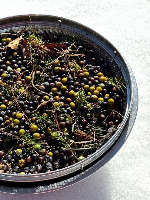 京丹後産ジュニパーベリーを100%使用