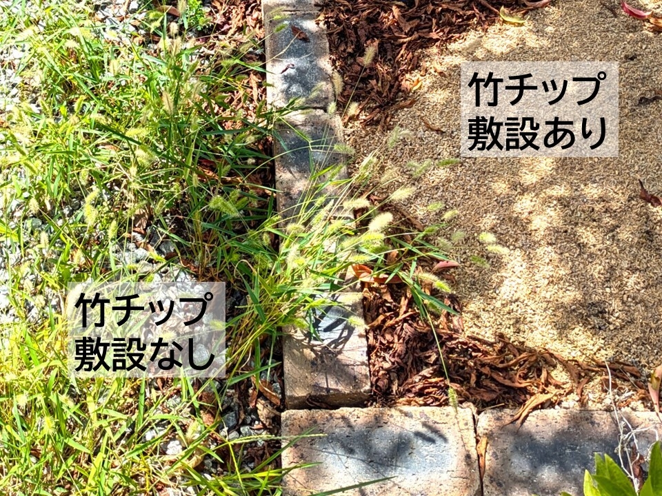 効果は5年程度持続します