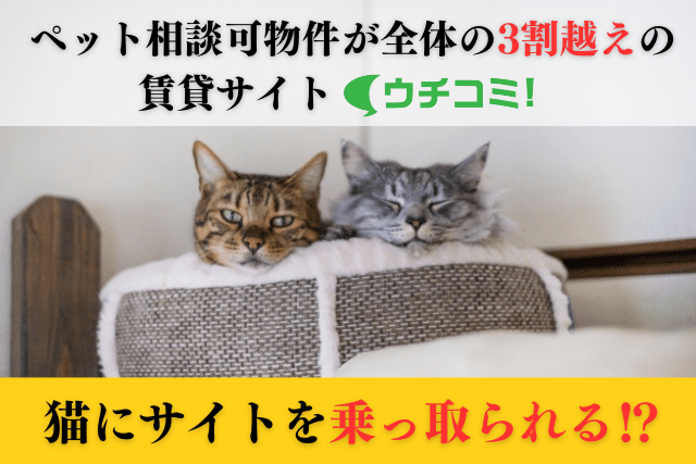 大家直接募集のウチコミ!が猫に乗っ取られた!?