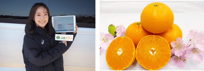 愛媛県産 せとか JAにしうわ