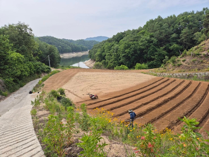 4TH Herb & Human Life Lab　薬草畑